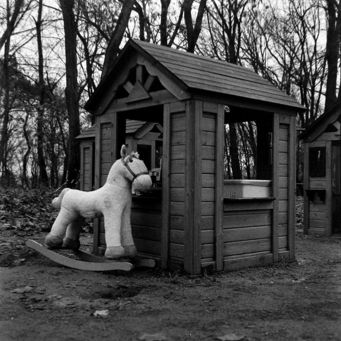 Zenza Bronica S2 + Nikon NIKKOR-PC 75mm f/2.8 + SAMPLE