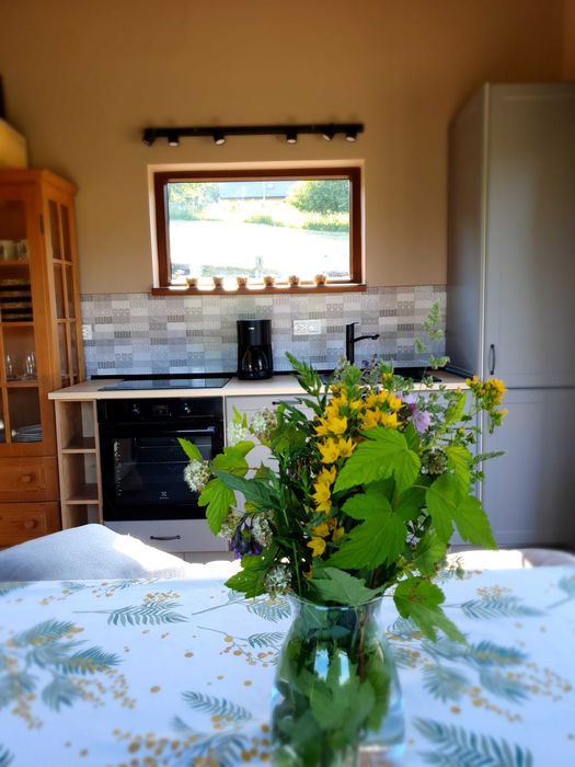 Komfortowy domek Mały Czar (max.4os.) Rudawy Janowickie - dom w górach