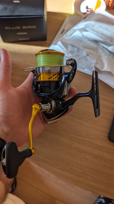Daiwa Revros LT3000-C