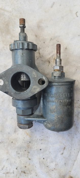 Gaznik panonia pannonia