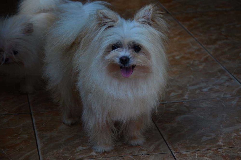 Гарна дівчинка 5 років.