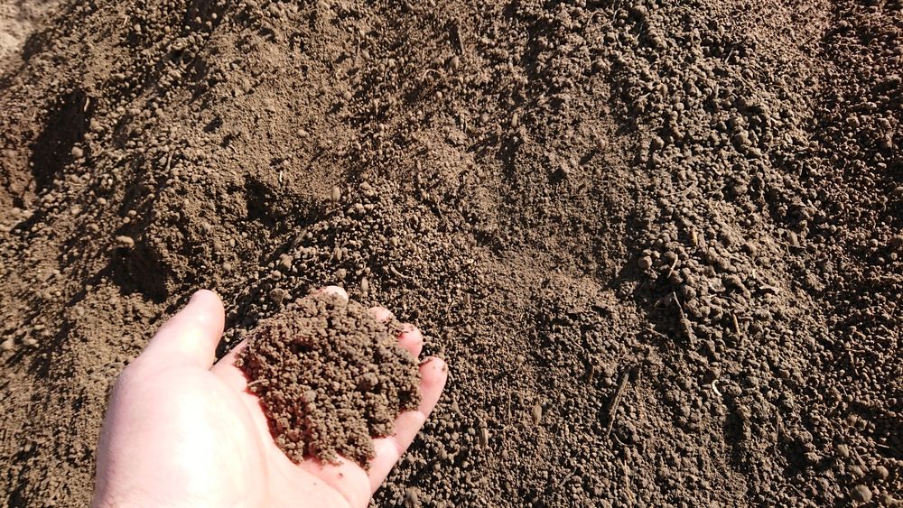 ziemia ogrodowa czarnoziem humus pod trawę trawnik kora