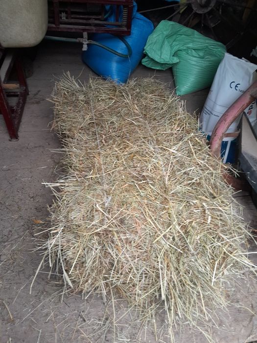 Sprzedam siano w kostkach