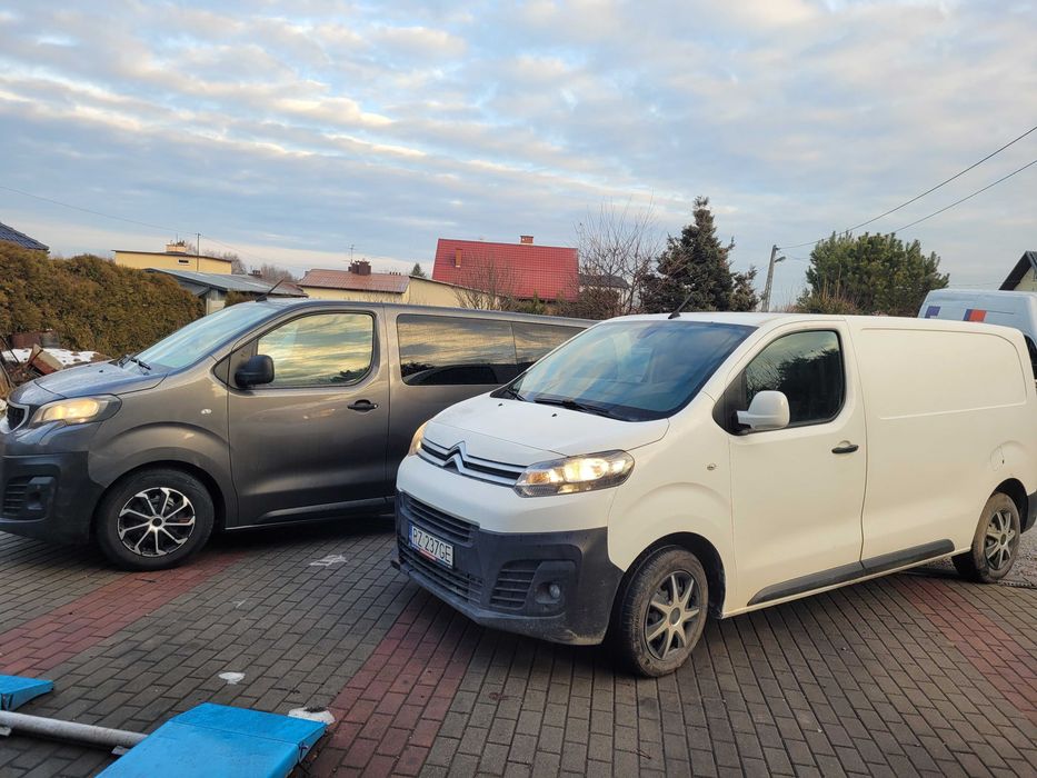 Wynajem  Busa 9 osób