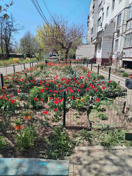 2-кімн.квартира Лиманський р-н 58 кв.м Капремонт Вільна Поруч море