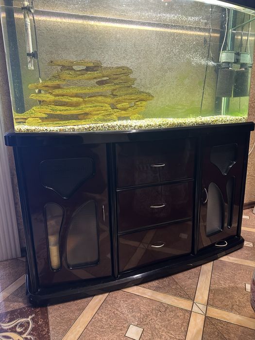 Продам великий акваріум 300+ л з тумбою