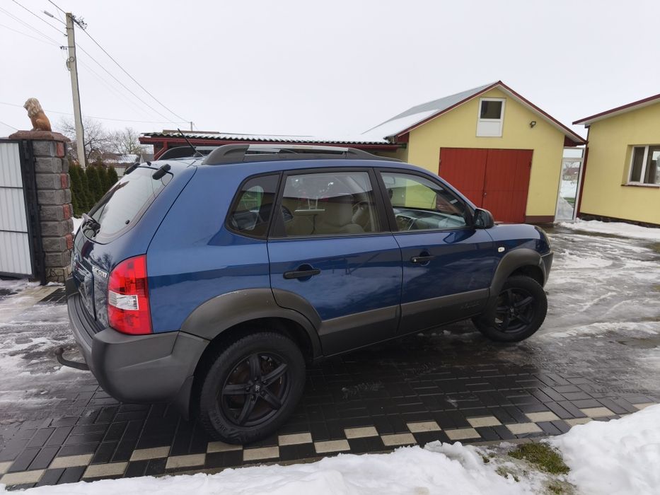 Свіжопригнаний з Голандії