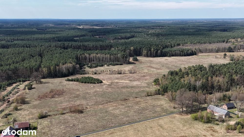 Działki - Osada w Borach Dolnośląskich