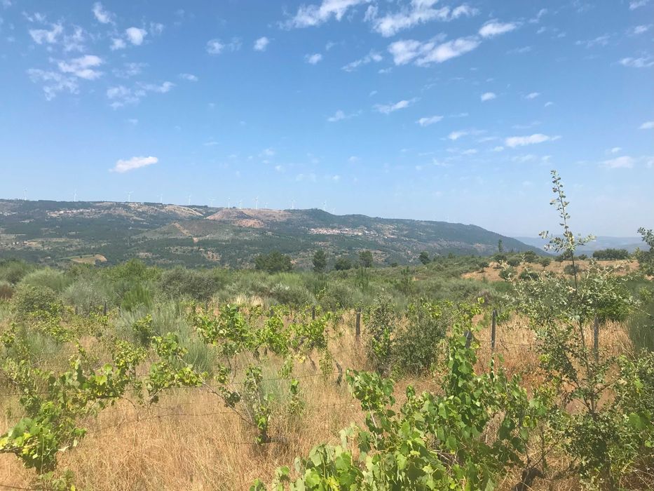 Conjunto de Terrenos Rústicos e Urbanos para Venda