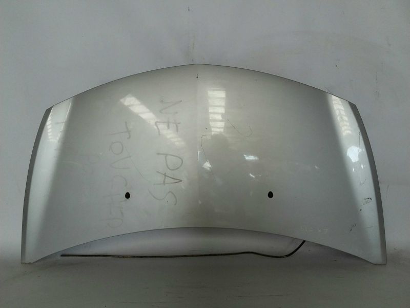 Capot RENAULT Clio III (BR0/1, CR0/1)