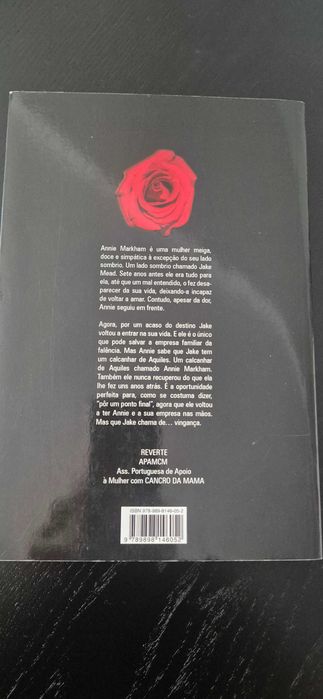 Livro " Perseguida pelo Passado" da autora Melissa Nathan