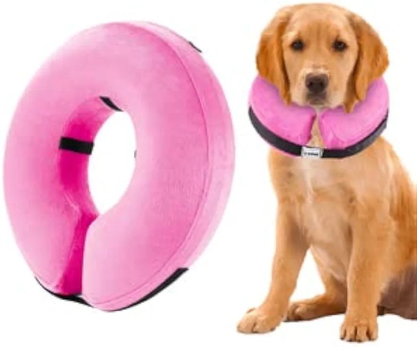 Obroża dmuchana różowa kołnierz ortopedyczny pooperacyjny dla psa rozmiar M  spaniel , bordel collie ,średnie psy
