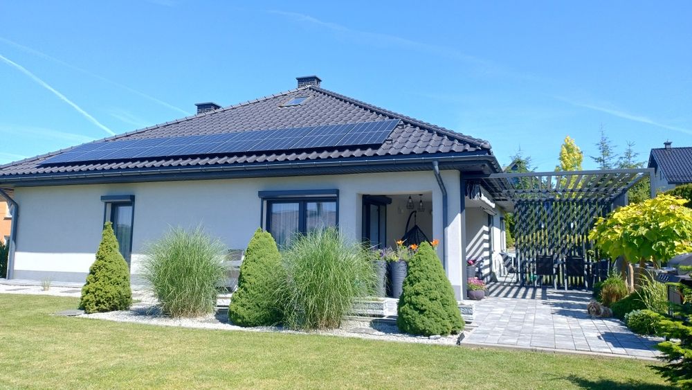 10 sztu. Miskant chiński Gracillimus. Trawa ozdobna