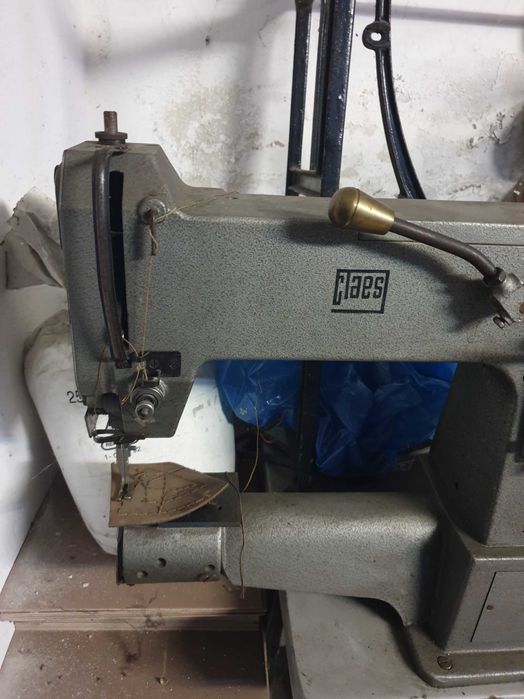 Rymarka praworamienna z transportem iglowym