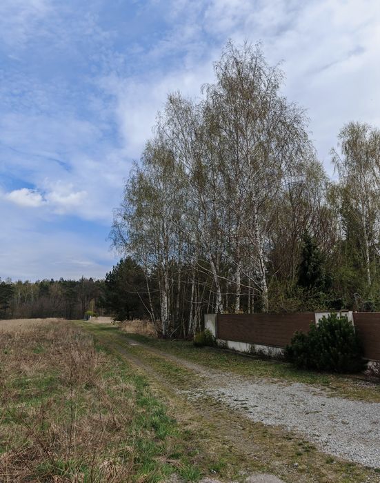 Działka budowlana 1200m Sołtyków Zenonów