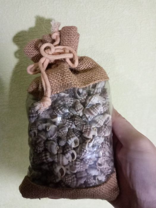 Набор ракушек подарочный из Италии.  Тема- океан.  Множество  ракушек.