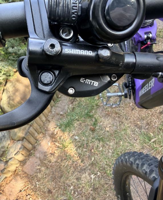 Szwajcarski Rower elektryczn  e-MTB