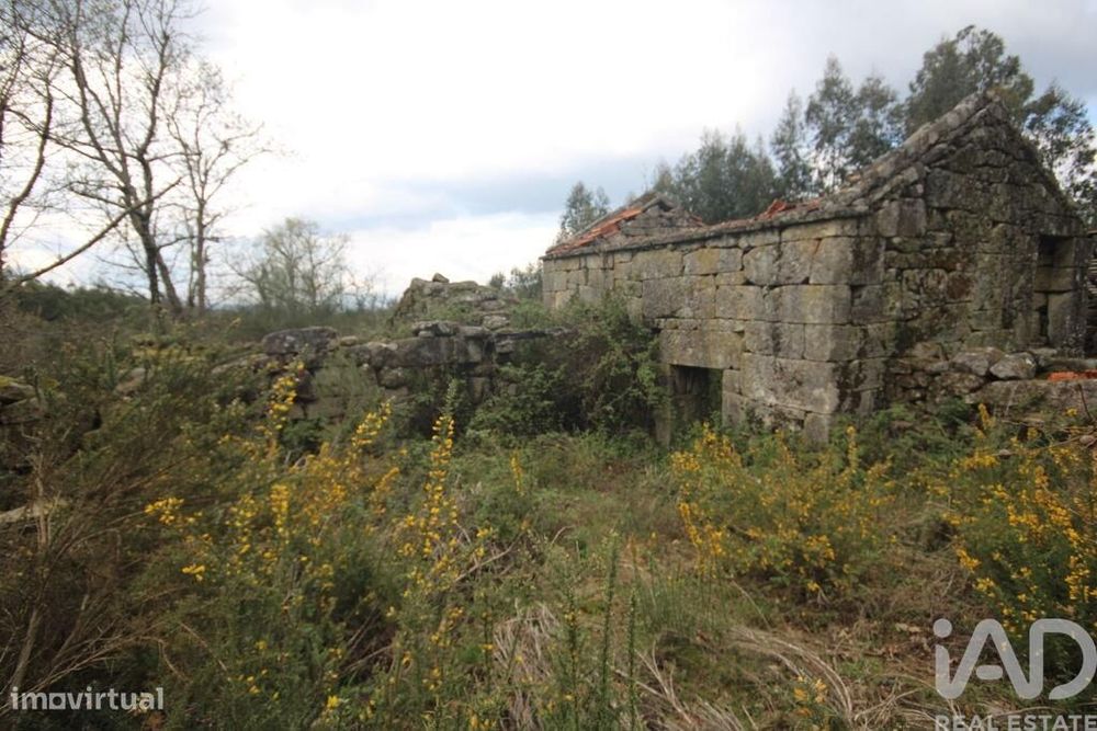 Casa rústica em Cambra e Carvalhal de Vermilhas de 3971 m2