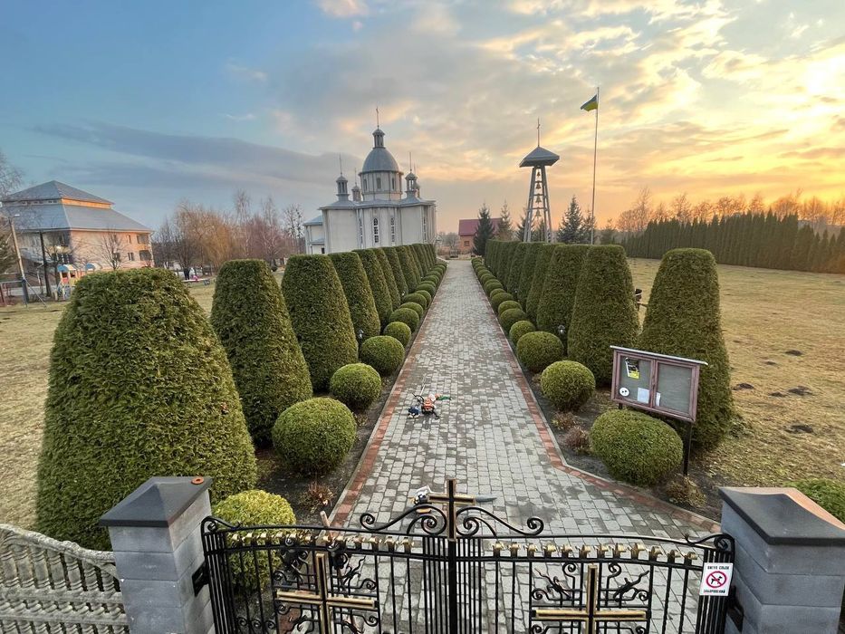 Стрижка туй Львів / Топіарна стрижка рослин / Догляд за територією /