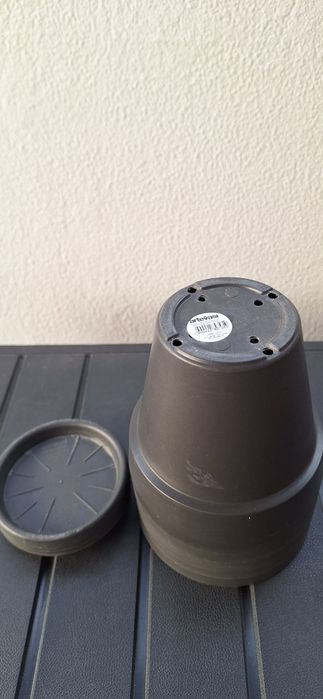 Seis vasos para plantas