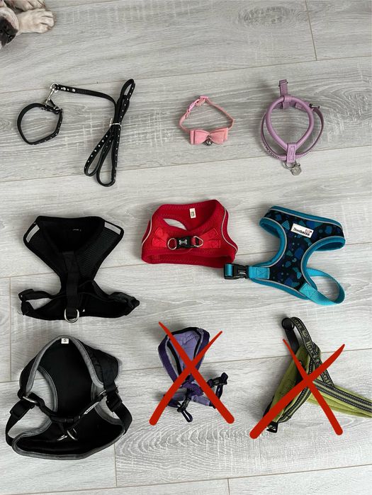 НОВИНКИ! поводки, шлейки Одяг для собак і котів