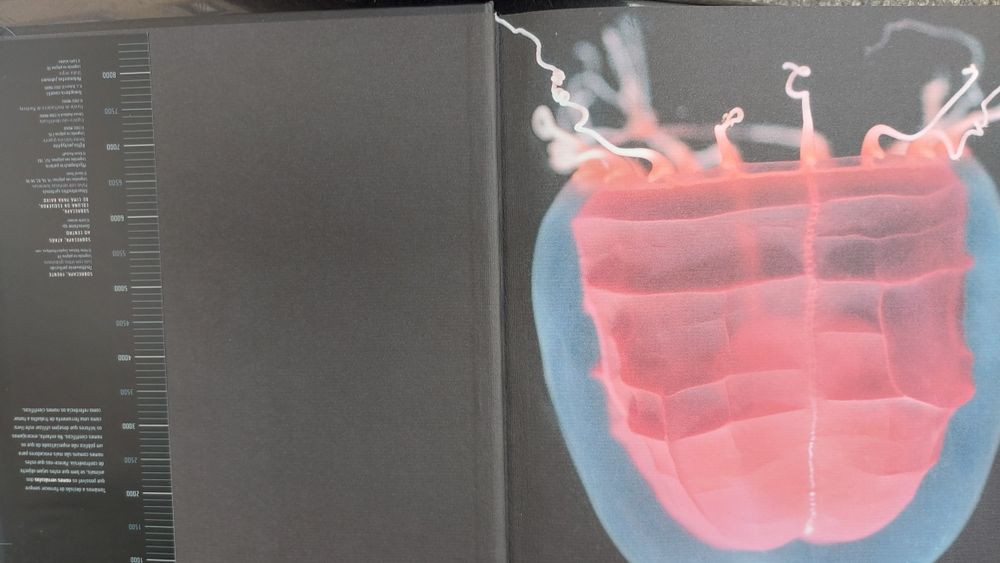 Criaturas do Abismo de Claire Nouvian