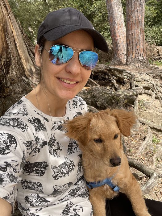 Serviço de estadia familiar de cães de porte pequeno/ dóceis