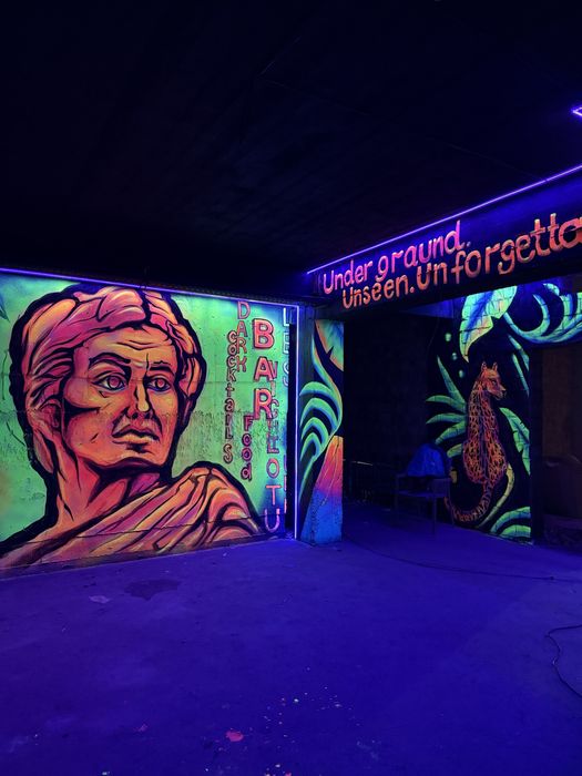 Настінний розпис Інтерєрна картина Художник Малюнок на стіні