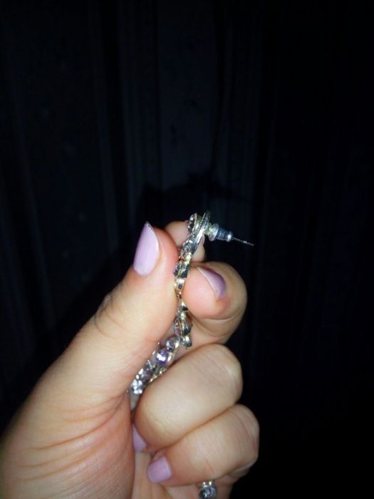 Сережки (серьги)