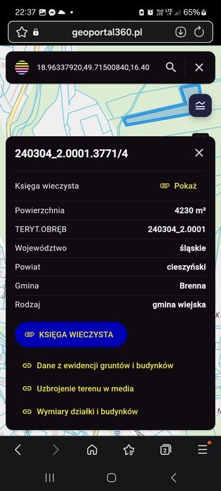 Sprzedam las 42 ary 4200m2  Brenna Bukowa