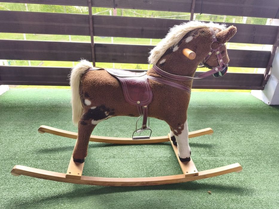 Konik Bujany, Konik na Biegunach
