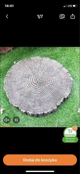 Ścieźka jak żółwi szlak