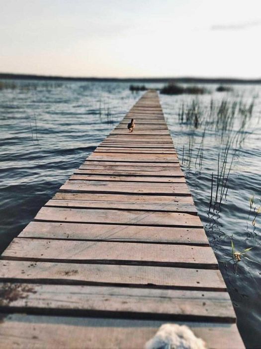 Domek do wynajęcia nad jeziorem