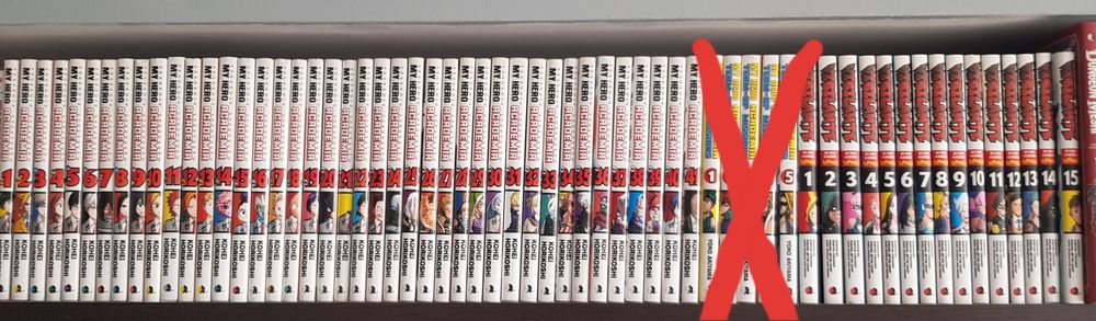 My Hero Academia / Vigilante