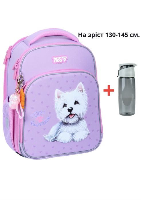 Рюкзак YES S-78M шкільний каркасний Stay Pawesome 550226 + пляшка для води 550мл
