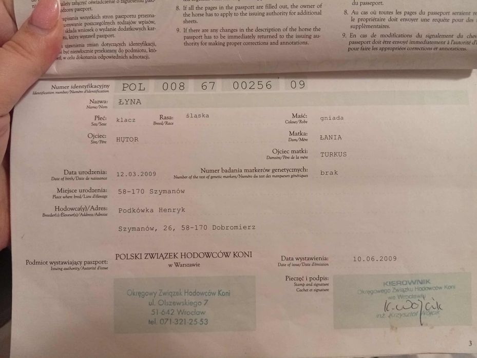 Klacz Śląska 17 at