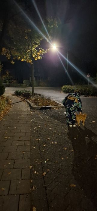 ONLINE オンライン Język japoński 日本語 - Korepetycje/ nauka języka japońskieg