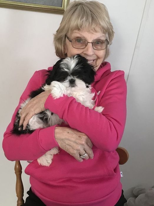 Оформление документов для животных.Ветпаспорт‼️БЕСПАЛТНАЯ КОНСУЛЬТАЦИЯ