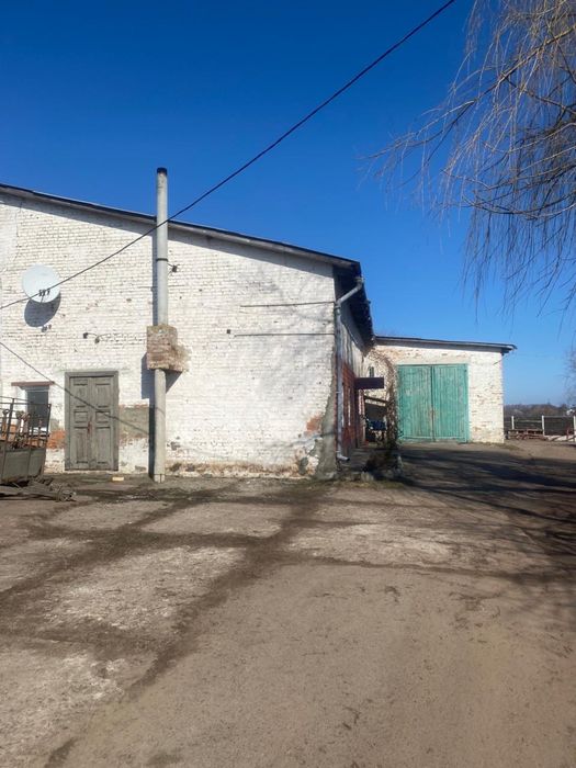 Бізнес по заготівлі мʼяса, забійний пункт( бойня)