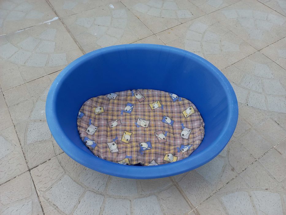 Cama para Cão Pequeno