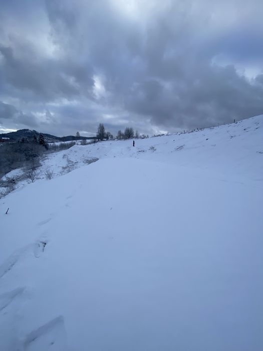 Земельна ділянка Славське 1га!