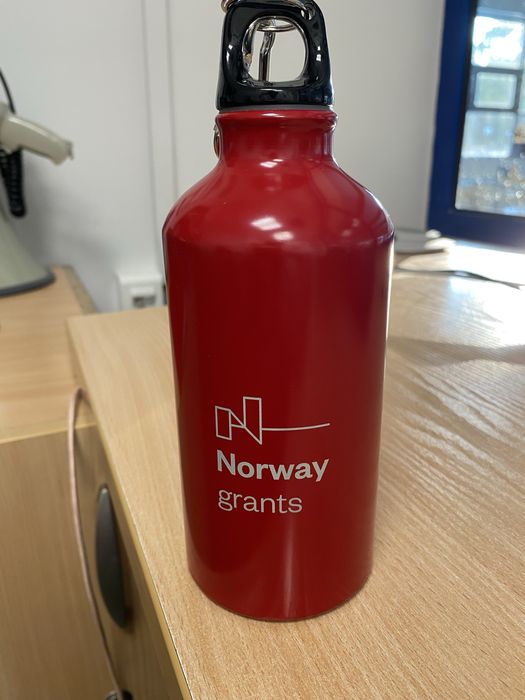 Bidony 500 ml  x 2 Norway grants ,aluminium .