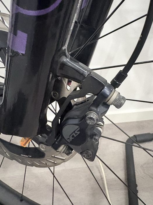 Giant antham flex point 2024