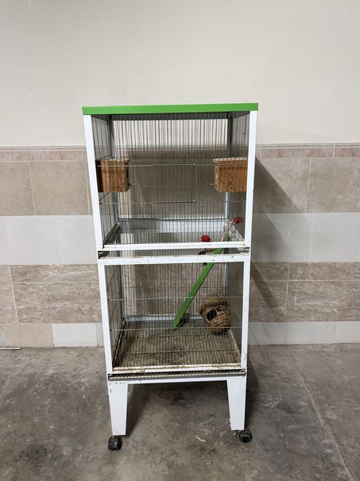 Gaiola para passaros