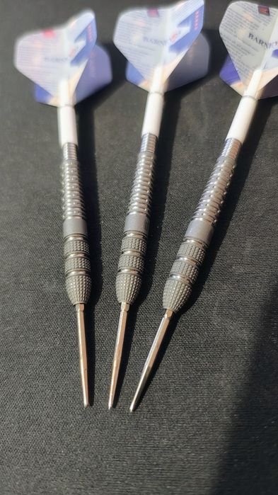Lotki Target Raymond van Barneveld 25 23g 95%