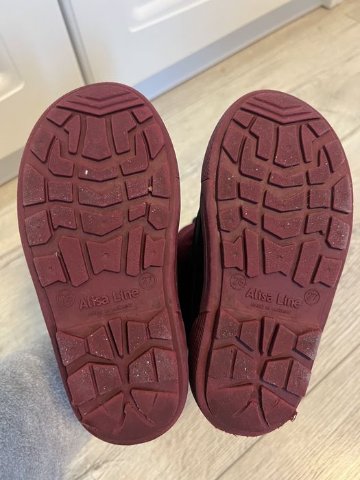 Чоботи Alisa line 26/27