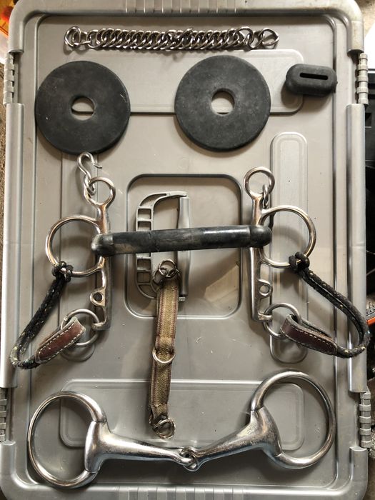 Pelhame de borracha, bridão, estribos, cilha com babete, cilhão