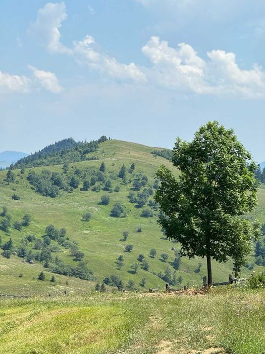 Продаж ділянки, 46 сот.с.Верхній Ясенів-Писаний Камінь.(є відео).
