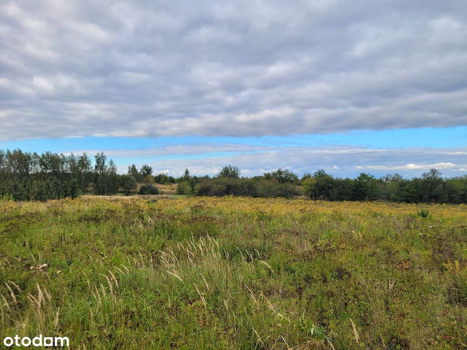 Działka budowlana Nowe Miasto