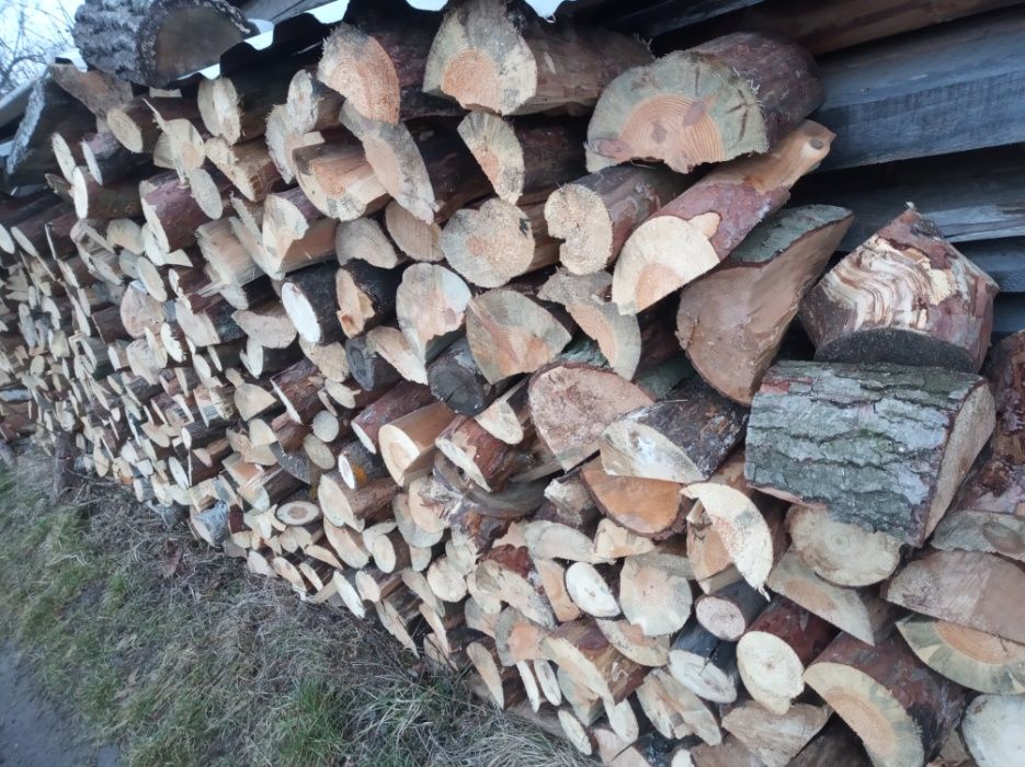 Drewno kominkowe grube
